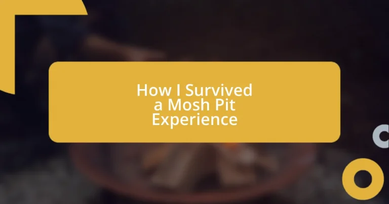 How I Survived a Mosh Pit Experience